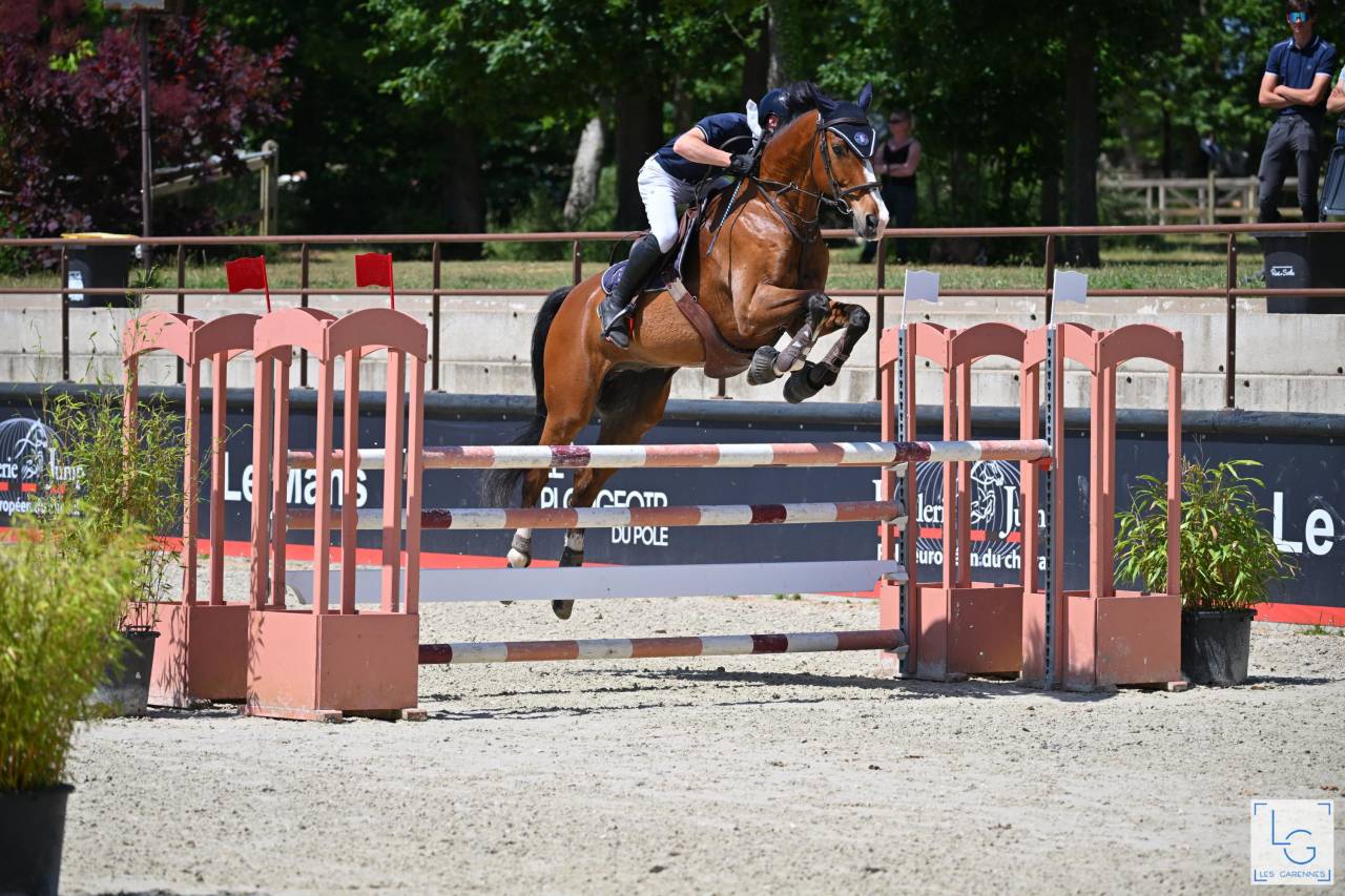 SF par Chef rouge X Negus de Talma