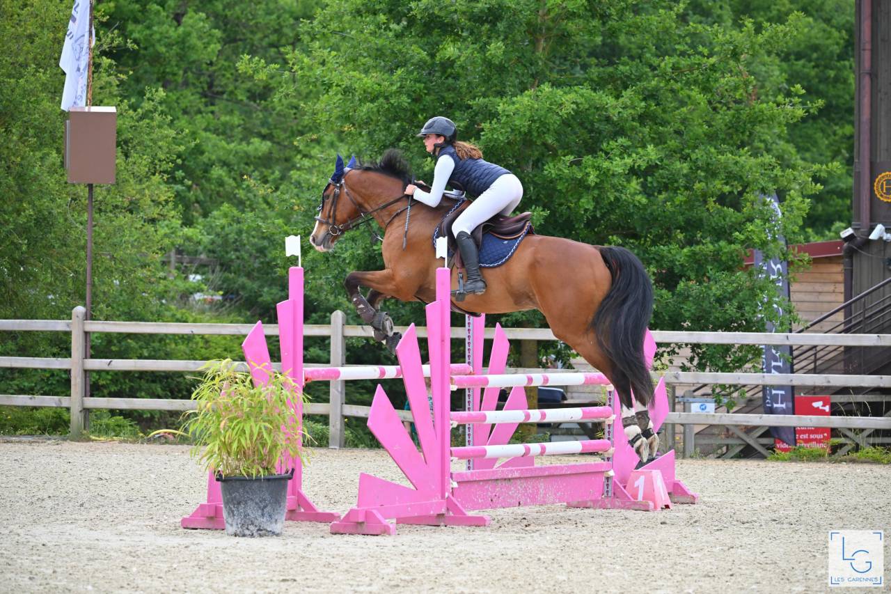 SF par Chef rouge X Negus de Talma