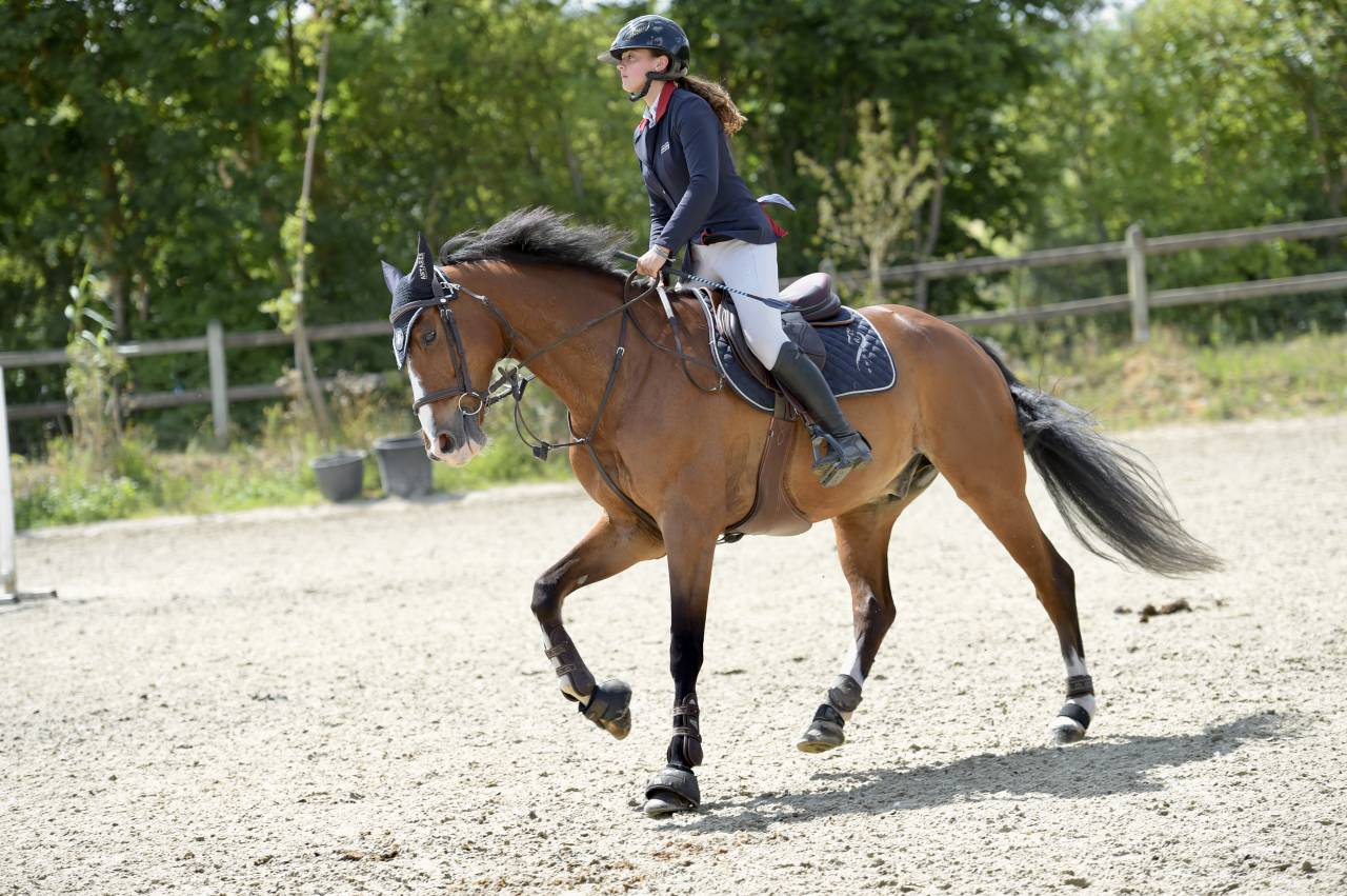 SF par Chef rouge X Negus de Talma