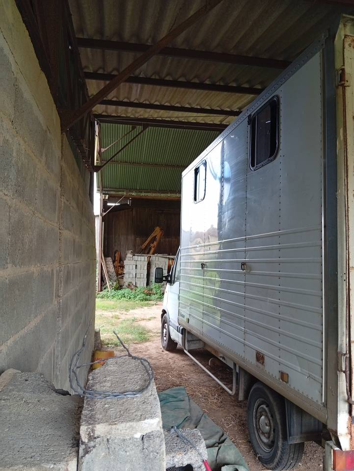 camion van chevaux