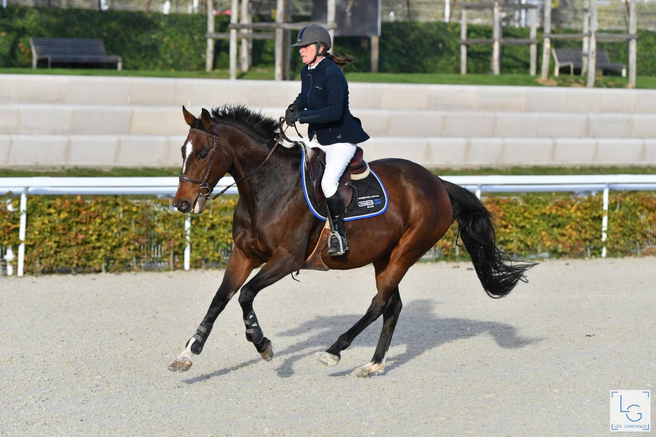 Top jument à vendre 