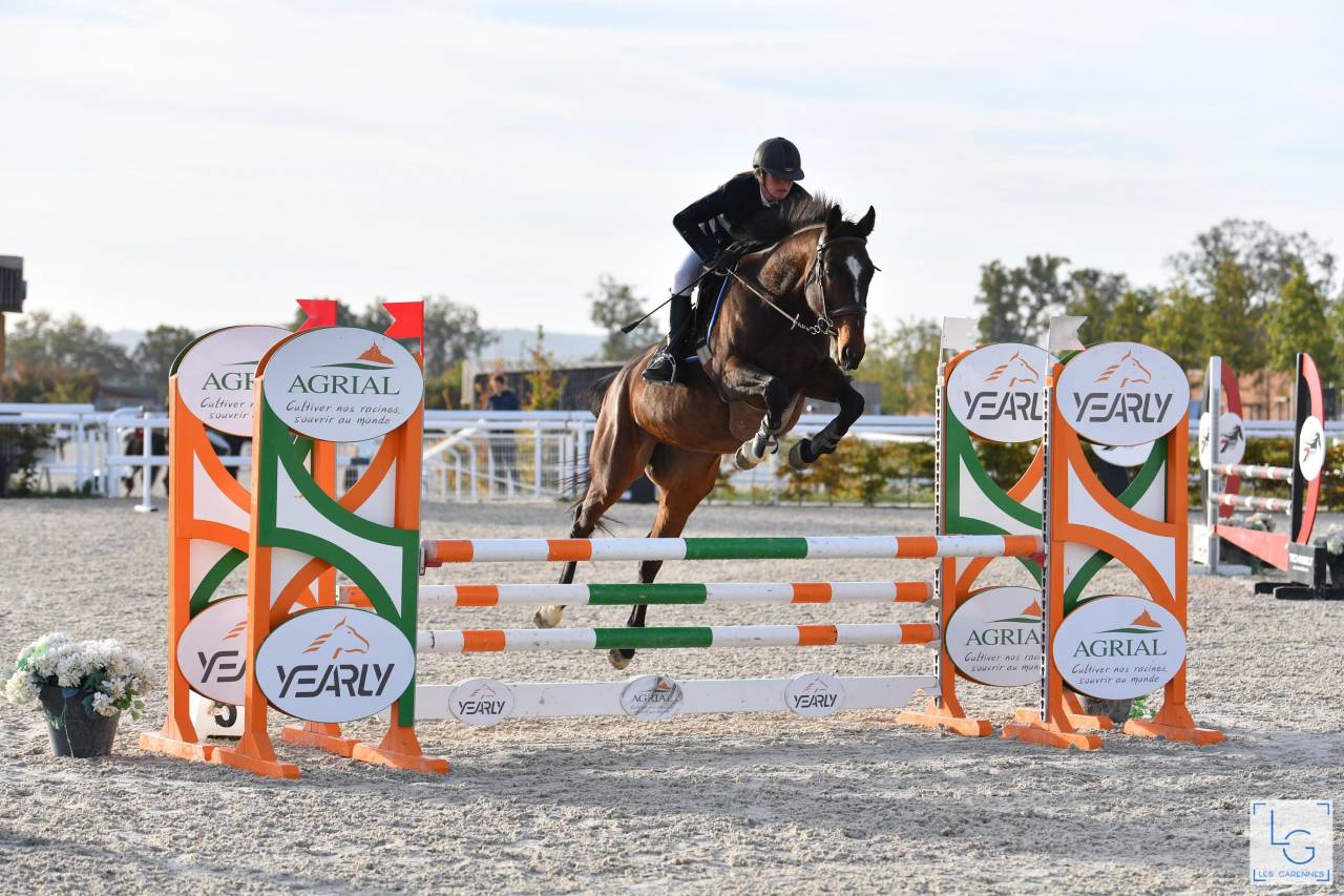 Top jument à vendre 