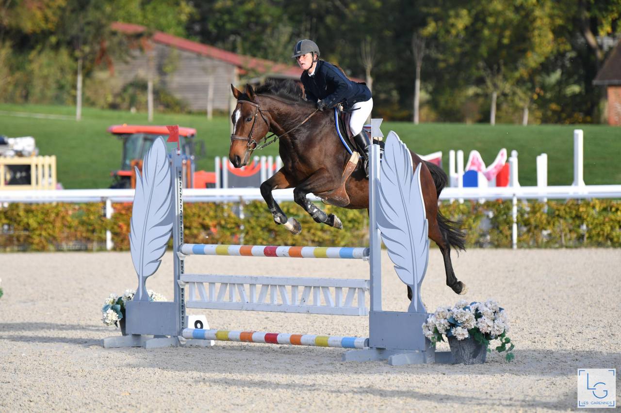 Top jument à vendre 