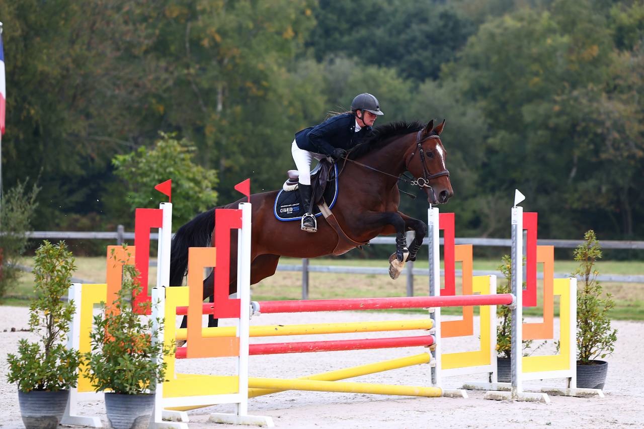 Top jument à vendre 