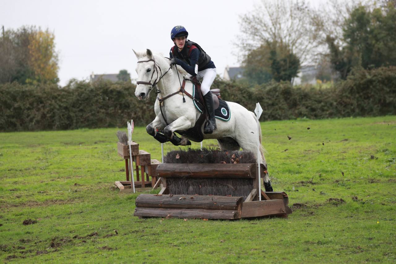 Propose poney D à la location