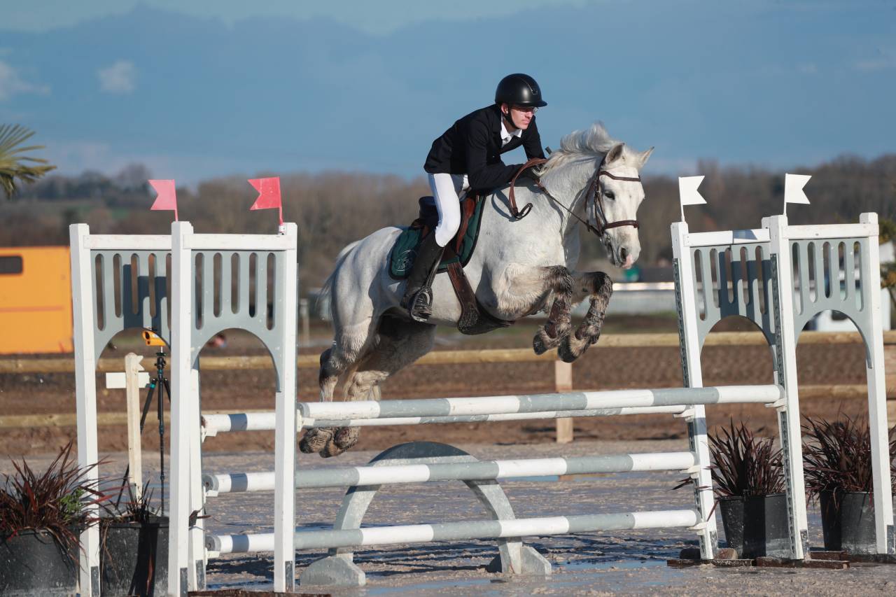 Propose poney D à la location