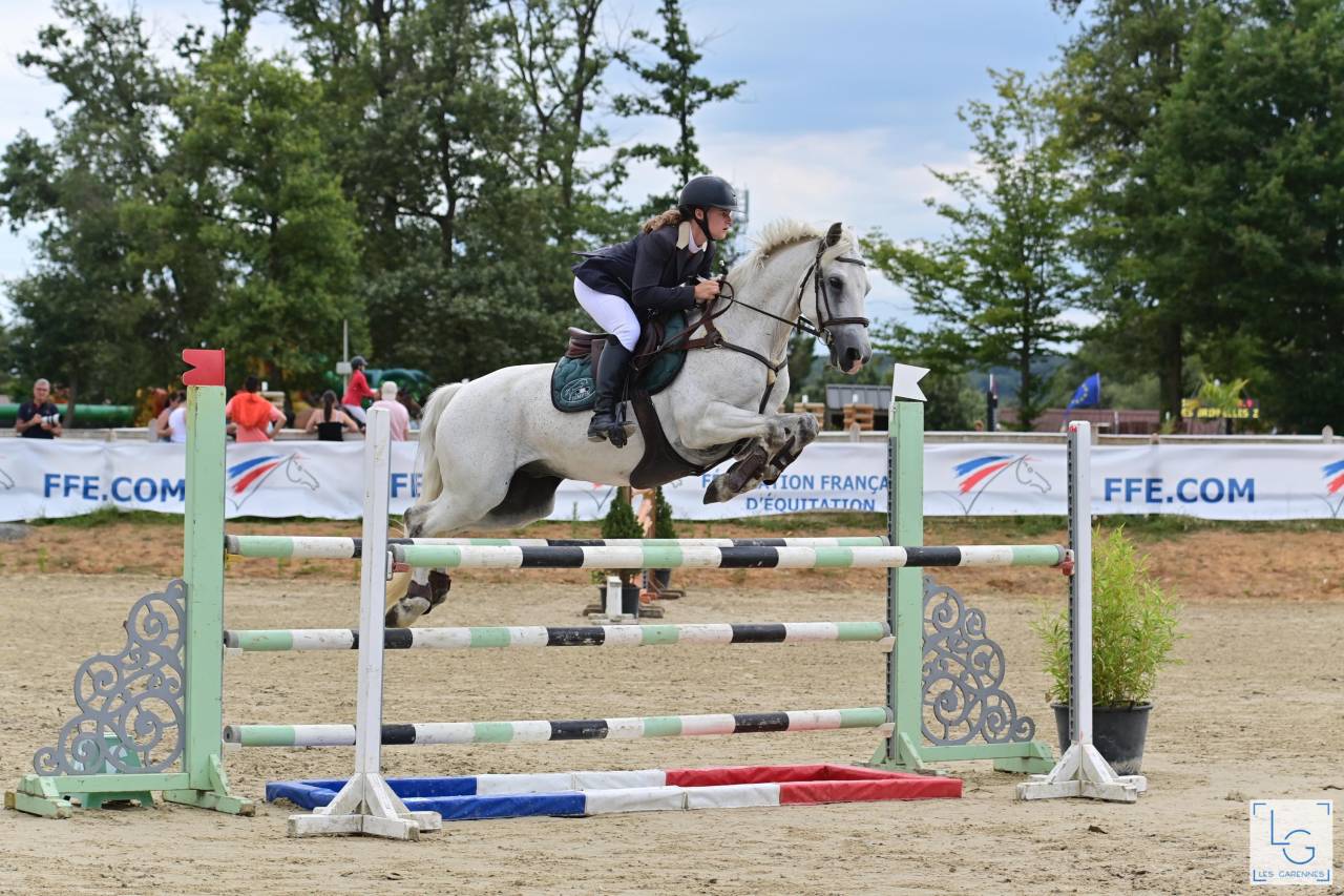 Propose poney D à la location