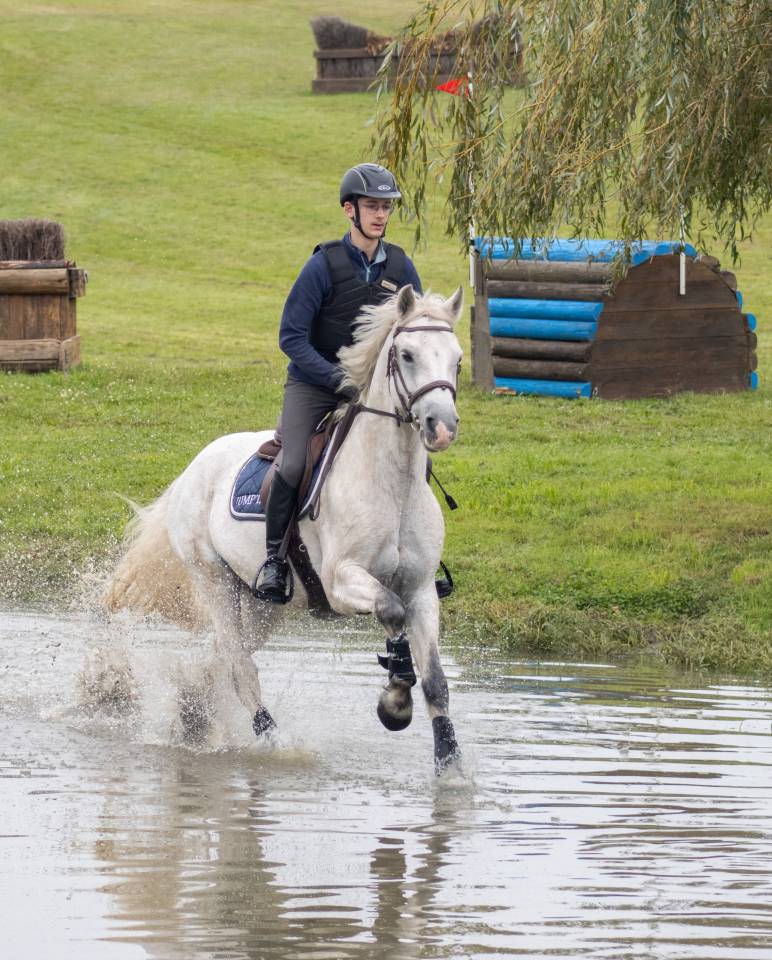 Propose poney D à la location