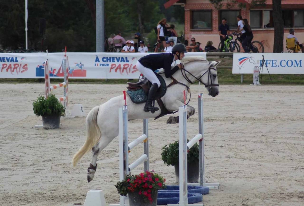 Propose poney D à la location