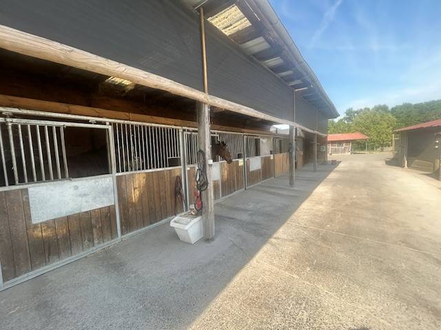 Propriété équestre à deux pas de LILLE