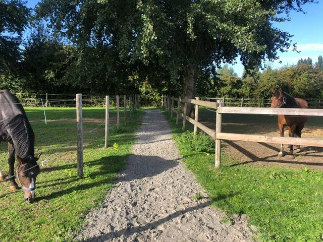 Propriété équestre à deux pas de LILLE