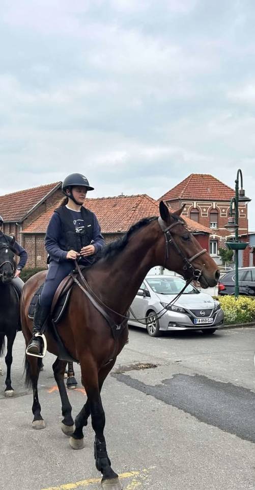 Kir royal - Jument de 5 ans