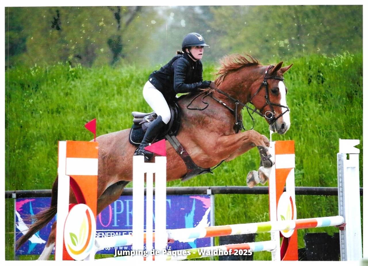 SF, 11 ans, CSO <20 000