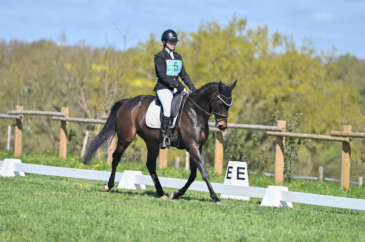 Cheval de loisir à confier (pas fermée DP/vente) 