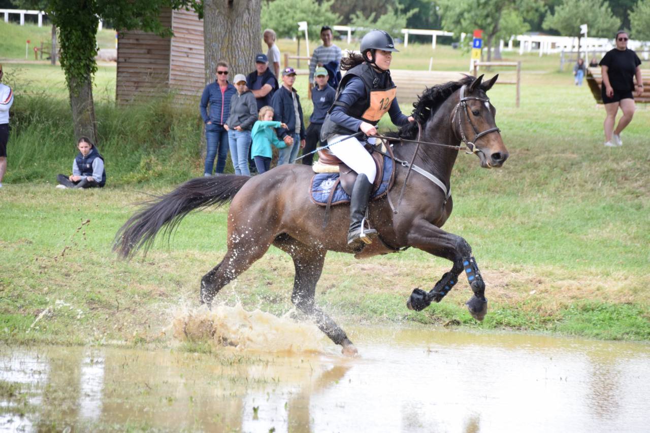 Cheval de loisir à confier (pas fermée DP/vente) 