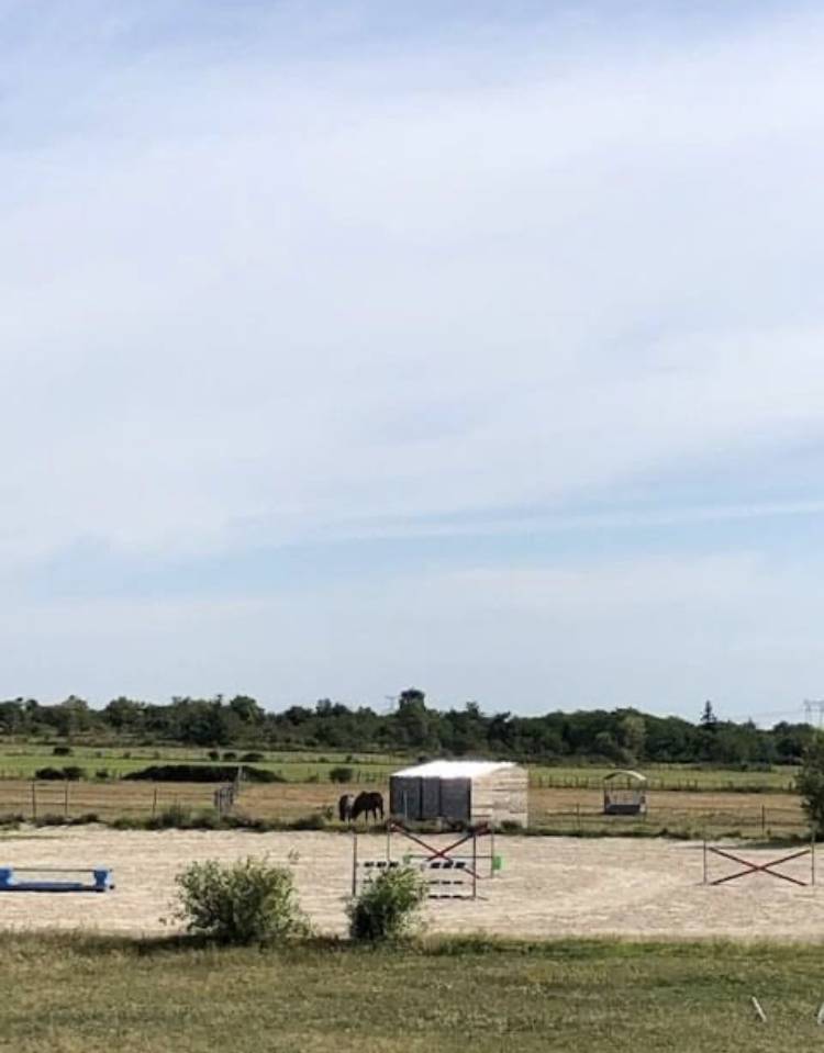 Pension pré pour Chevaux et Poneys 