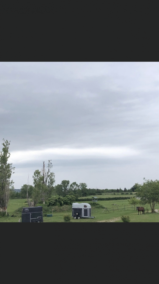 Pension pré pour Chevaux et Poneys 