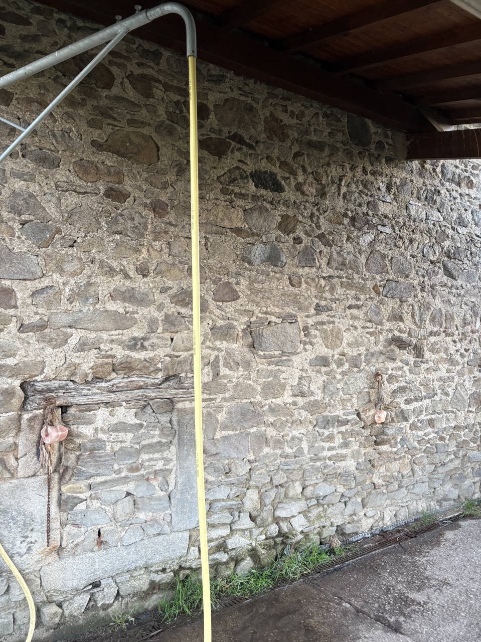 Pension pré pour Chevaux et Poneys 