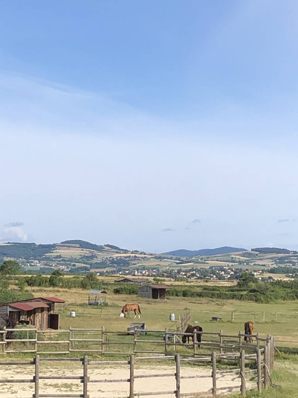Pension pré pour Chevaux et Poneys 