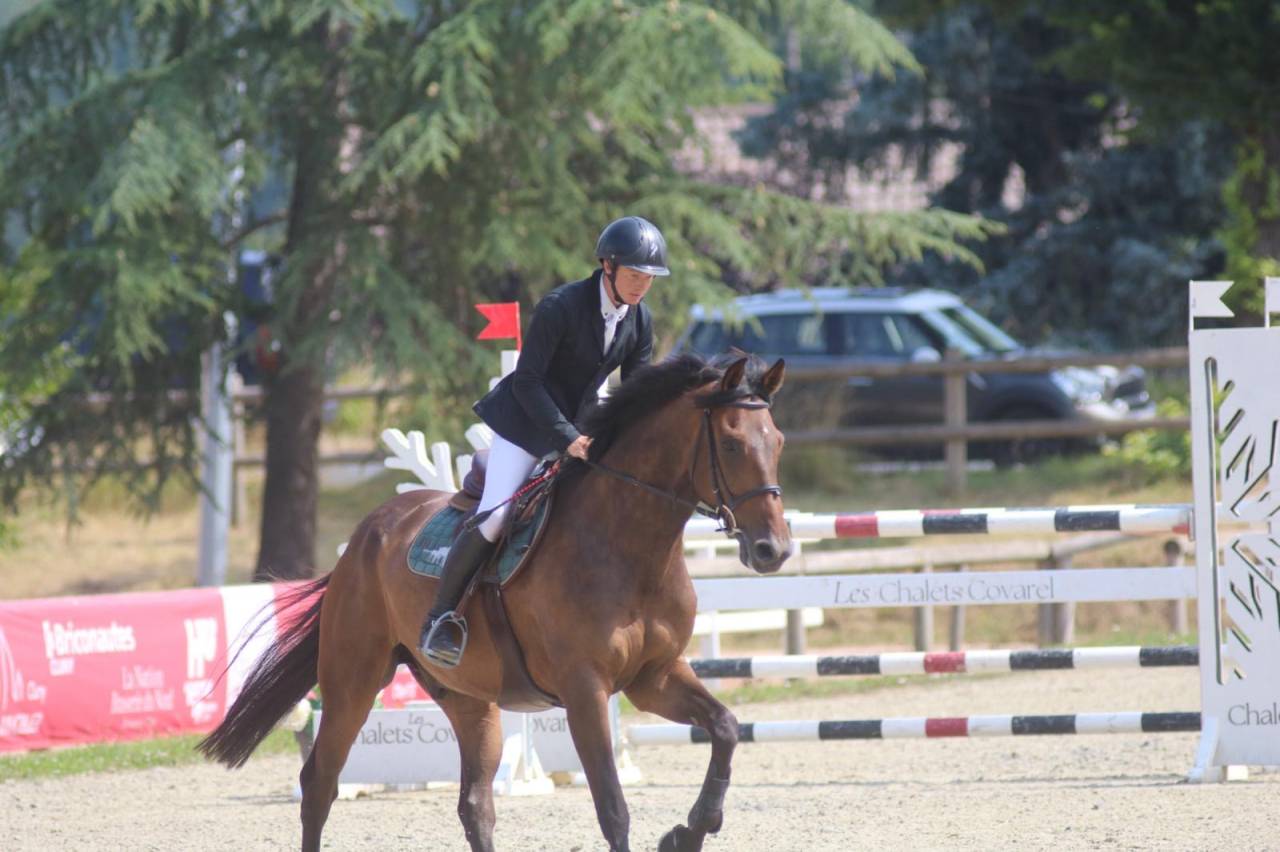 À vendre cheval pour faire 125/130