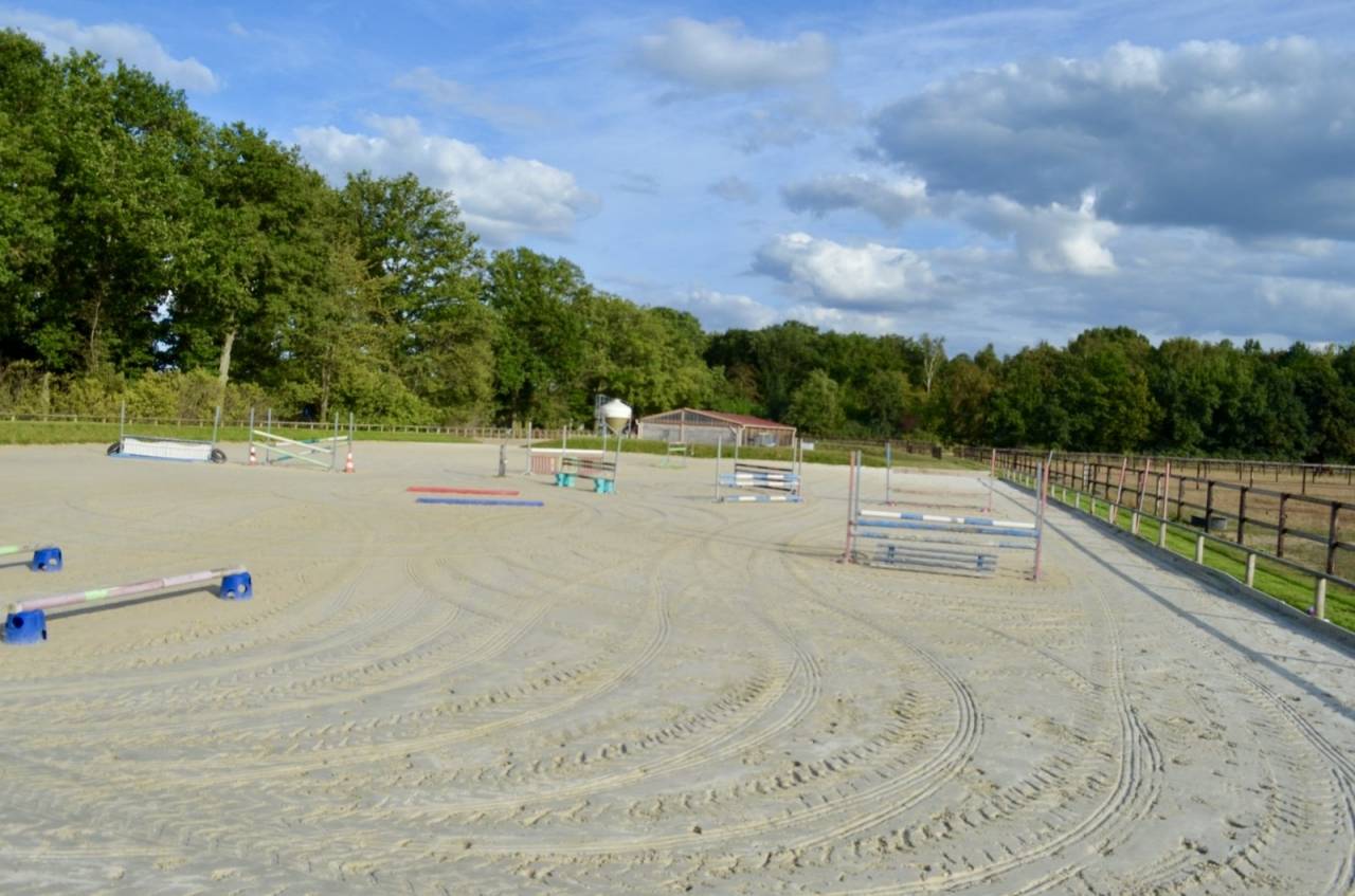 Pension boxs XXL avec pr&eacute; et paddock en herbe