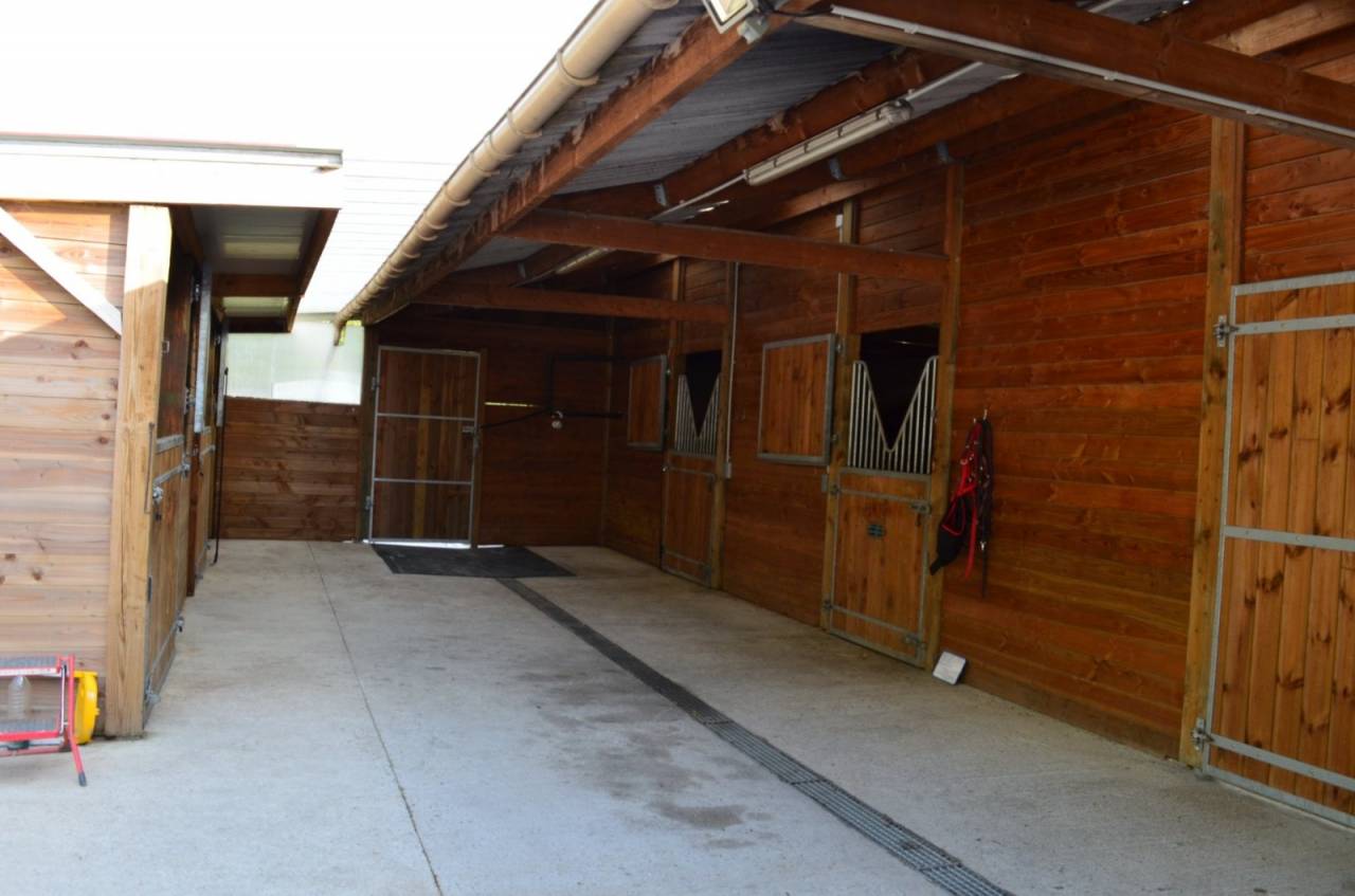 Pension boxs XXL avec pr&eacute; et paddock en herbe
