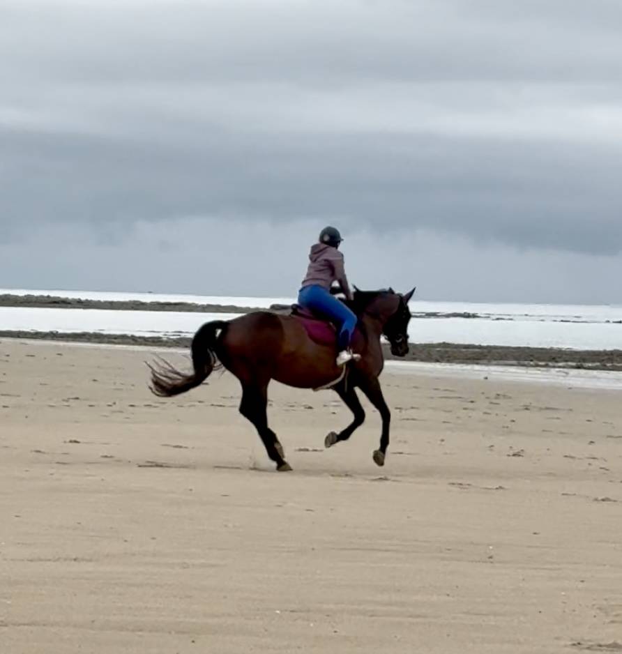 Jument 6 ans CSO / CCE