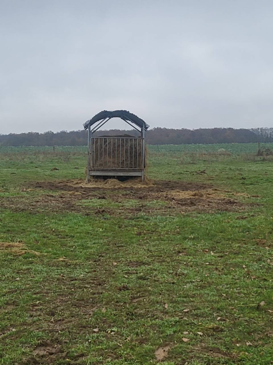 Pension pr&eacute; avec abris 