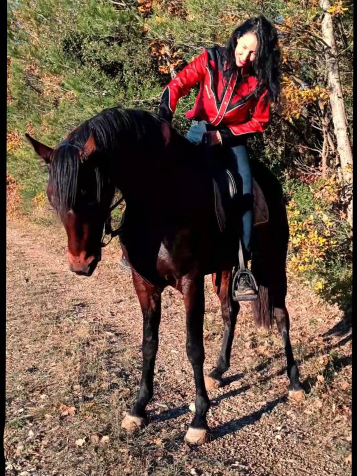 Tr&egrave;s belle et grande jument