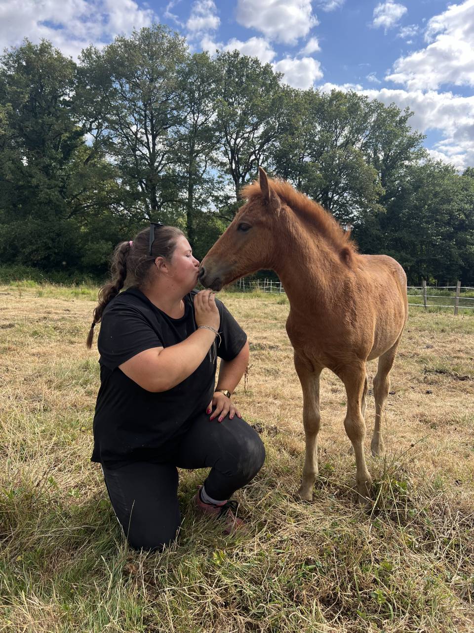 Joli poulain type New Forest de croisement 