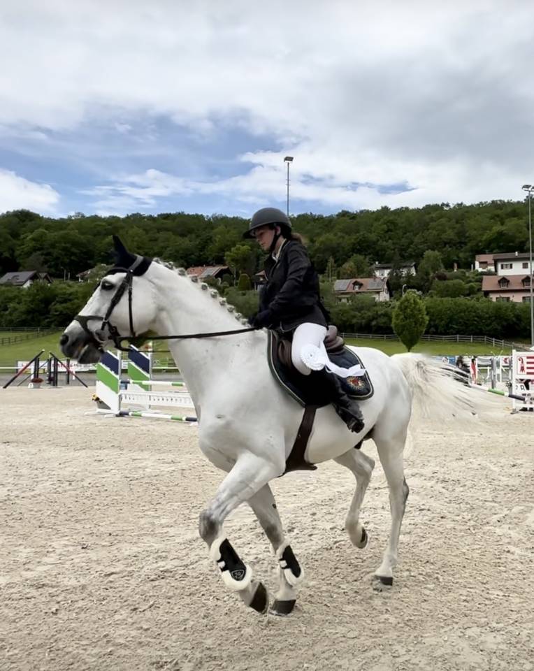 Oldenburg-International (OS), Gelding, 14 ans