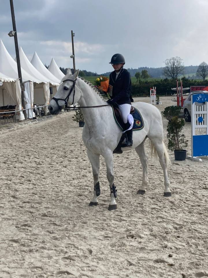 Oldenburg-International (OS), Gelding, 14 ans