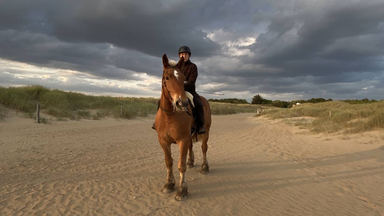 Super trait comtois 5 ans