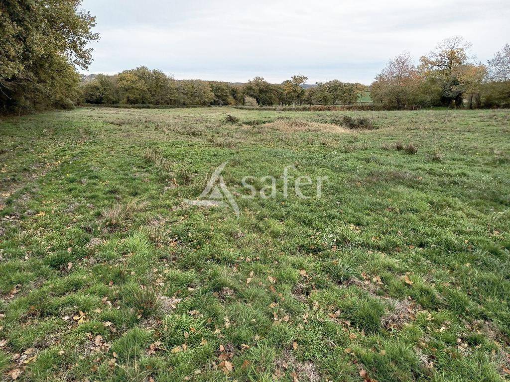 Ensemble foncier d'environ 4 hectares.