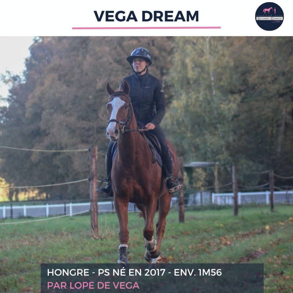 VEGA DREAM - PS - 8 ANS