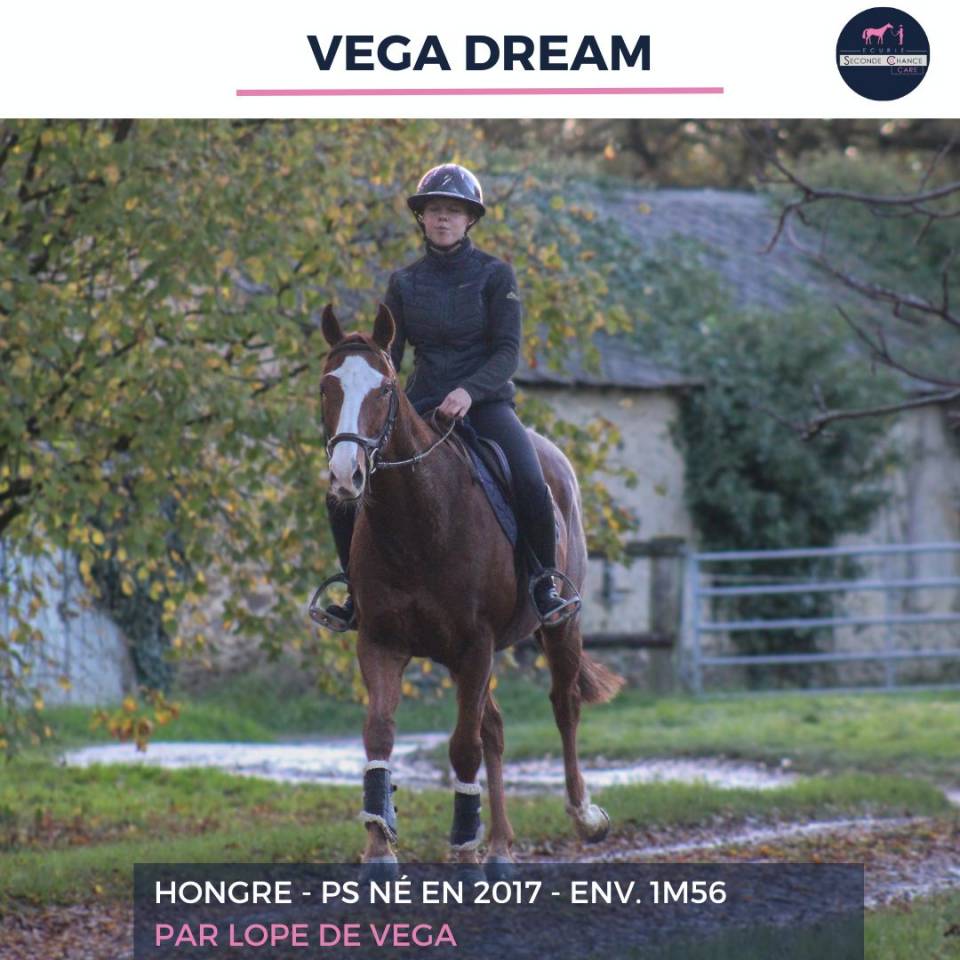 VEGA DREAM - PS - 8 ANS