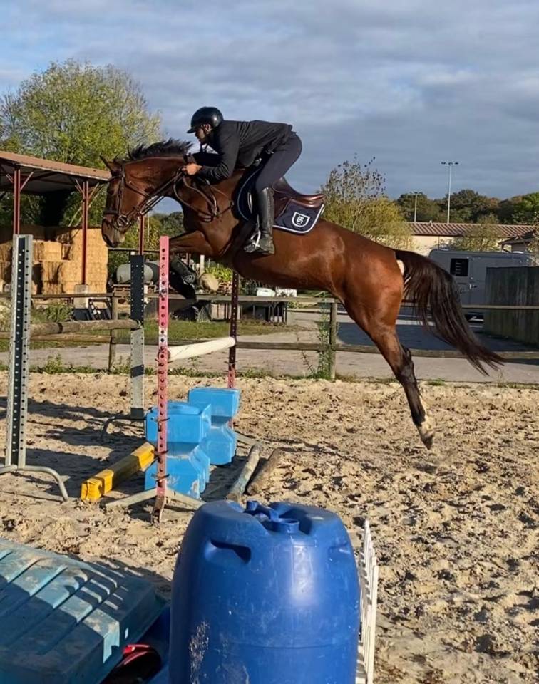 ? À VENDRE – JUMENT DE SPORT ?
