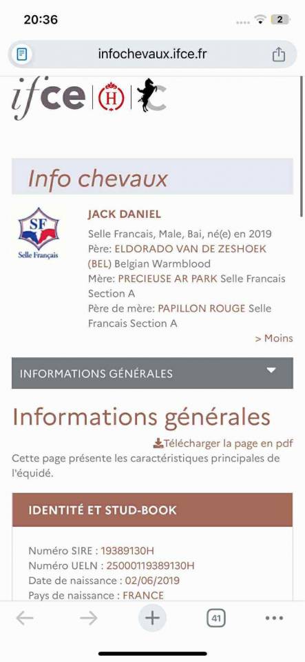 Jack Daniel 6 ans Grosse Qualité 