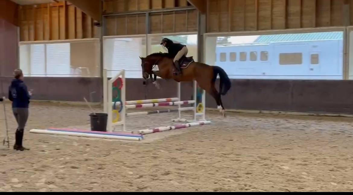 Jack Daniel 6 ans Grosse Qualité 