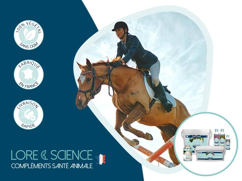 Aliments complémentaires 100% plantes pour vos chevaux