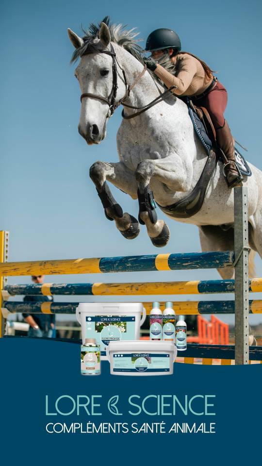 Aliments complémentaires 100% plantes pour vos chevaux