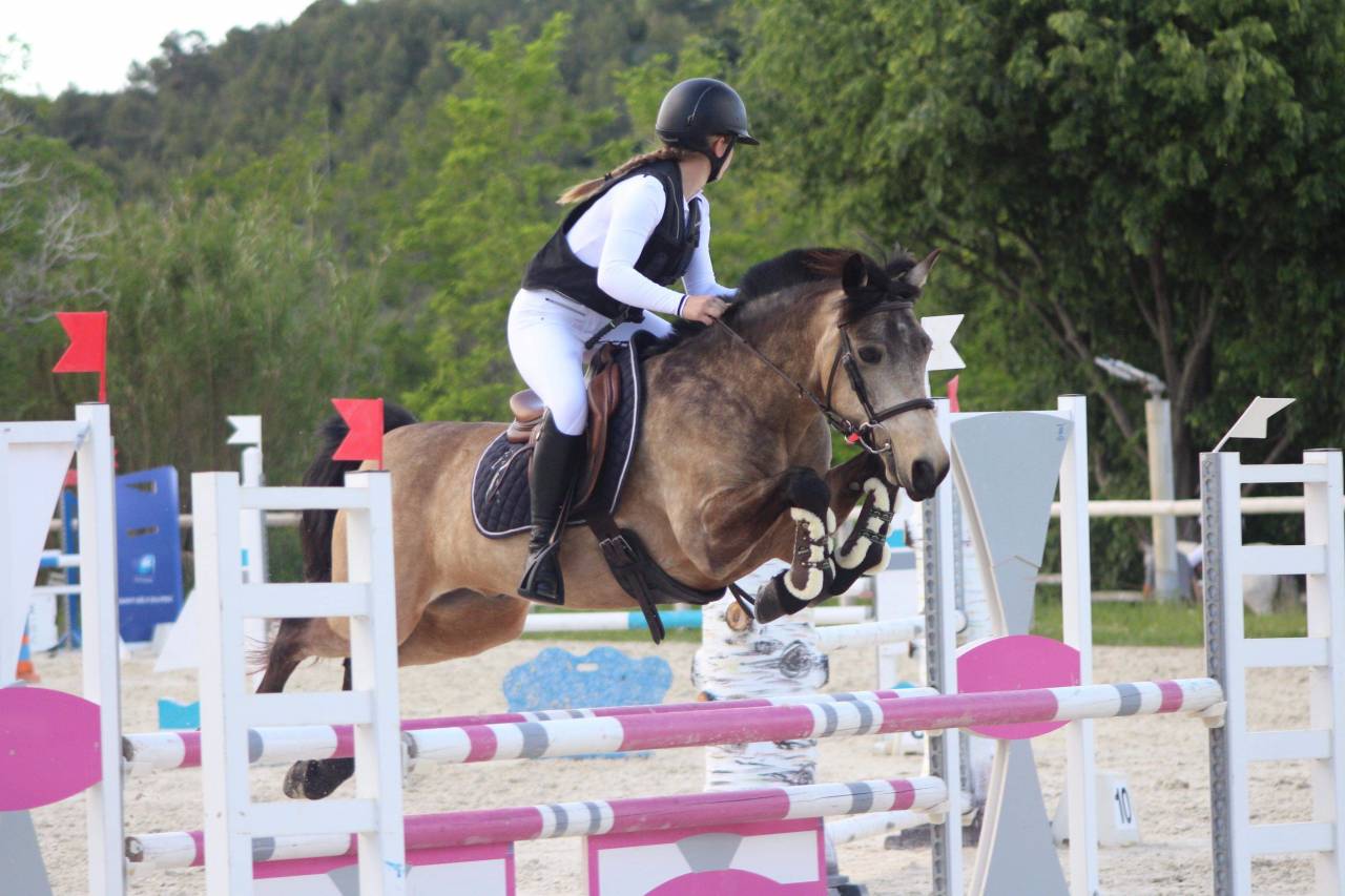 ? Pension poney Connemara