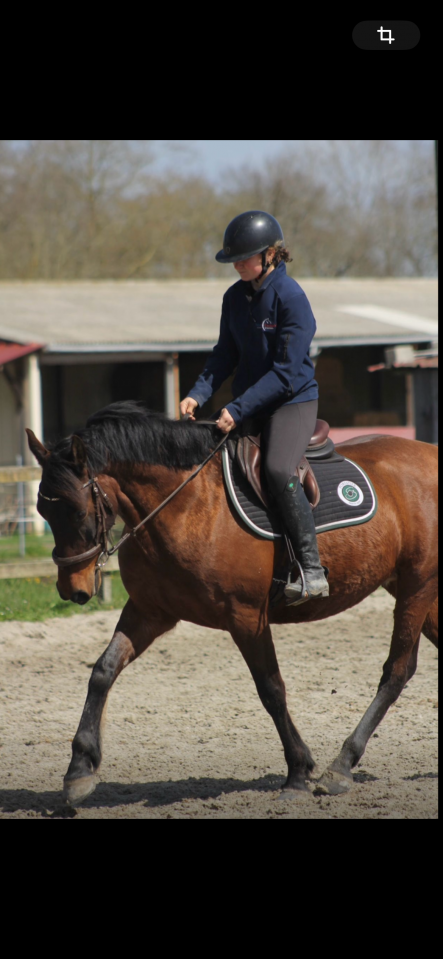 Demi-pension avec option d’achat 