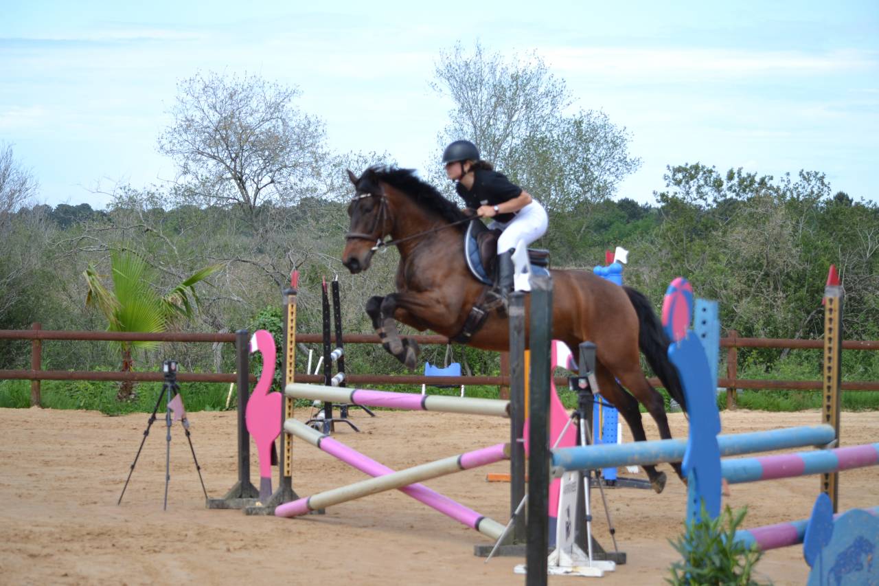 Demi-pension avec option d’achat 