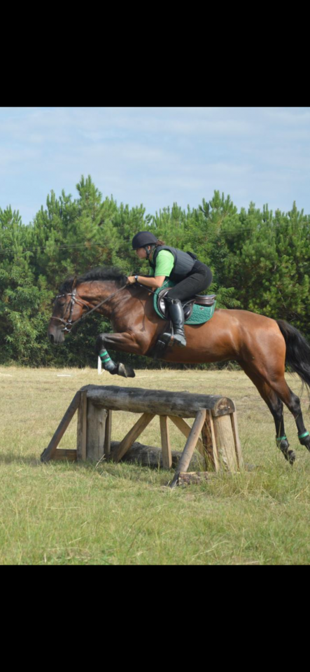 Demi-pension avec option d’achat 