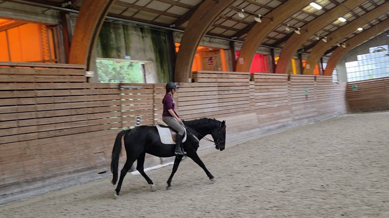 Soigneuse - cavalière - gardiennage