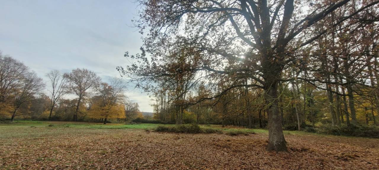 Les Chevaux d'Argentières 