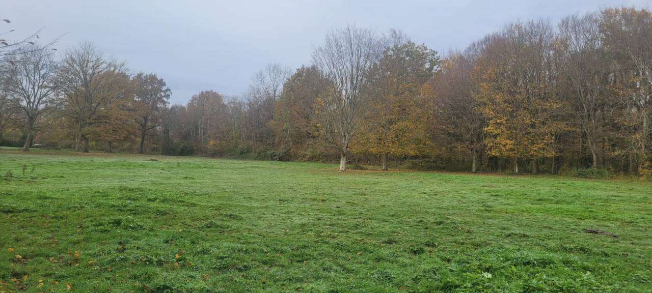 Les Chevaux d'Argentières 