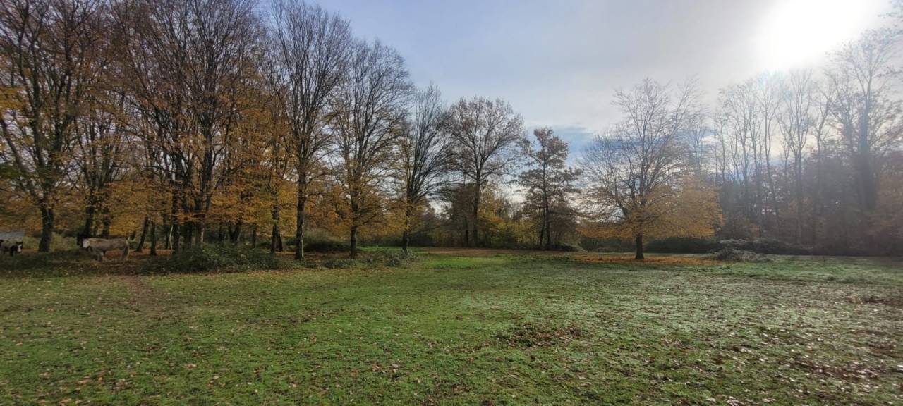 Les Chevaux d'Argentières 