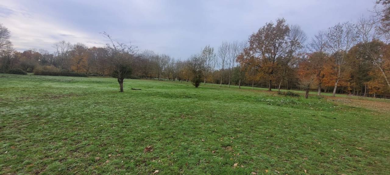 Les Chevaux d'Argentières 